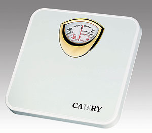 Mechanic Bathroom Scale